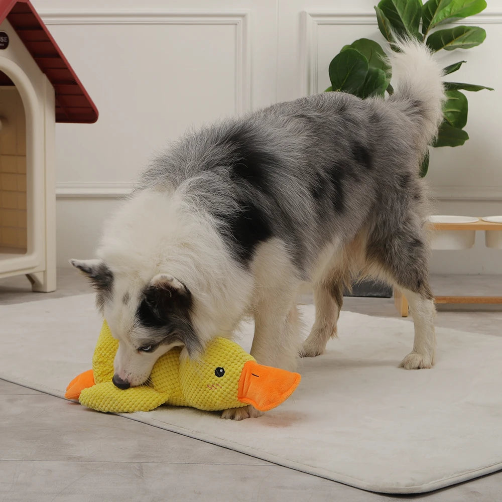 HOOPET Fleece EendKnuffel
