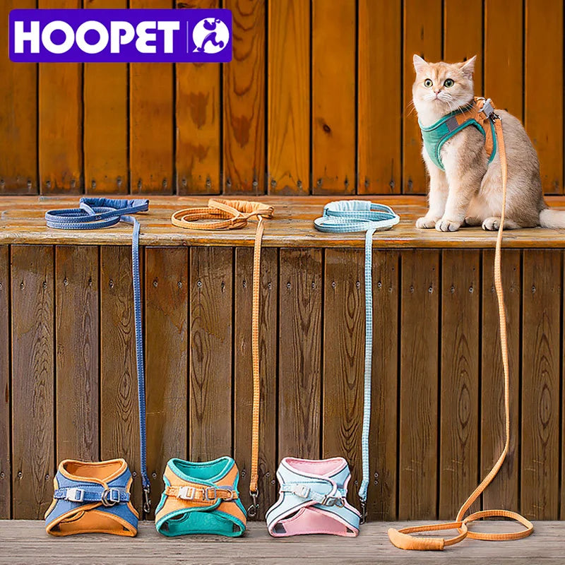 Hoopet kattentuigje + riem