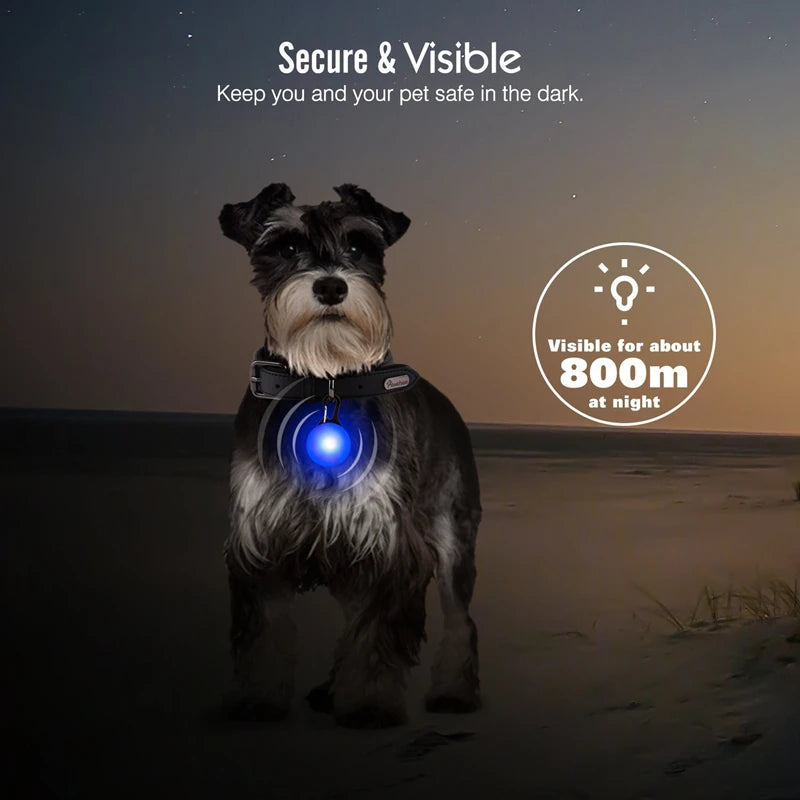 Gloeiende LED hanger voor honden en katten