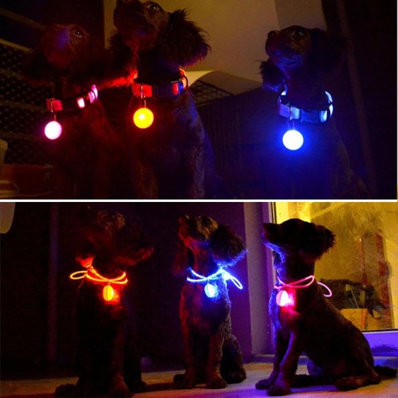 Gloeiende LED hanger voor honden en katten