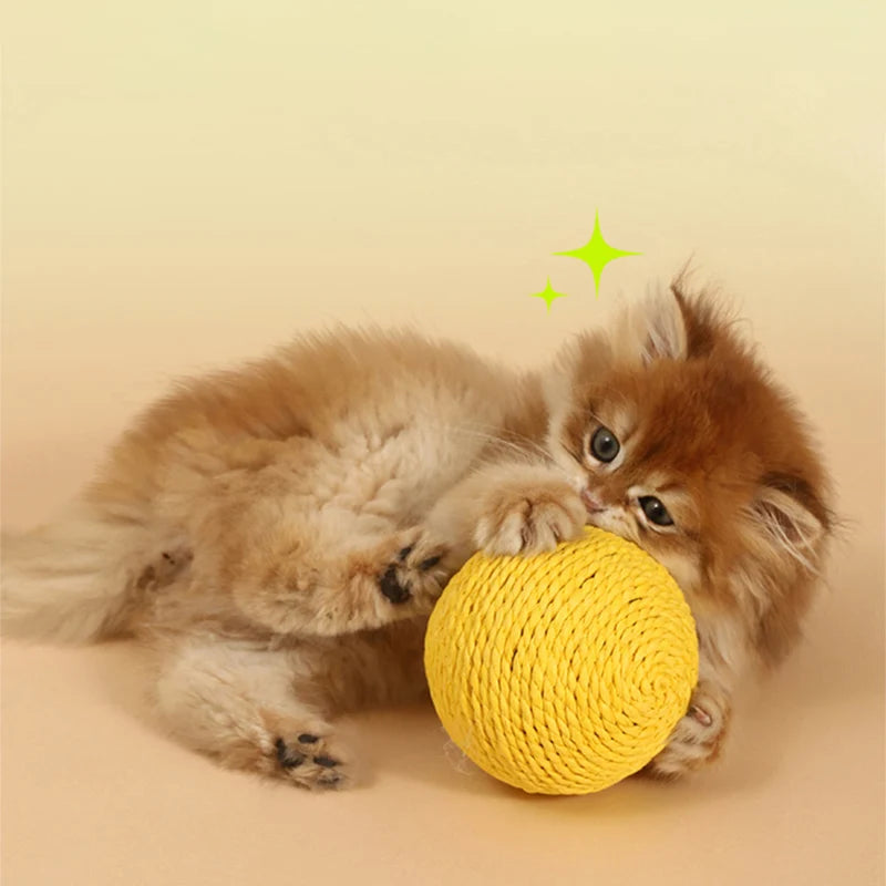 KATTENSPEELTJES