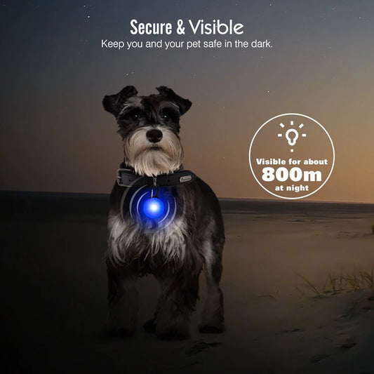 Gloeiende LED hanger voor honden en katten