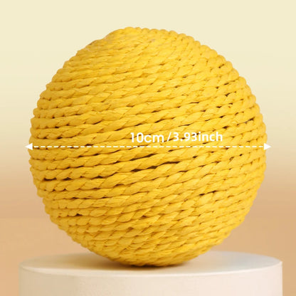 50100699955531