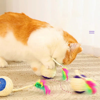 HOOPET Touwbal Speeltje – Interactief Krabspeeltje voor Katten